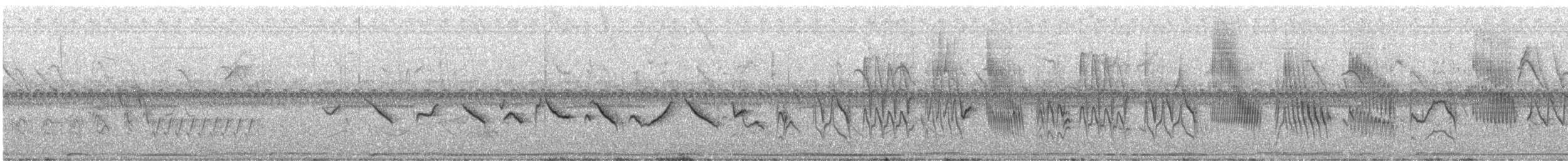 Chestnut-bellied Seed-Finch - ML642654049