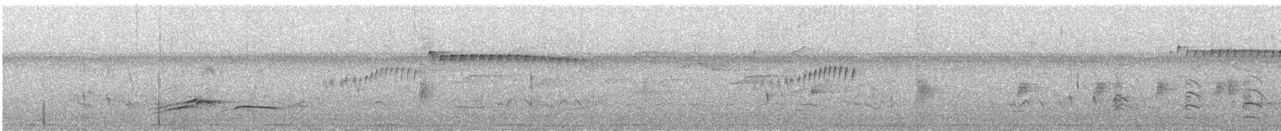 Helmeted Manakin - ML642654084