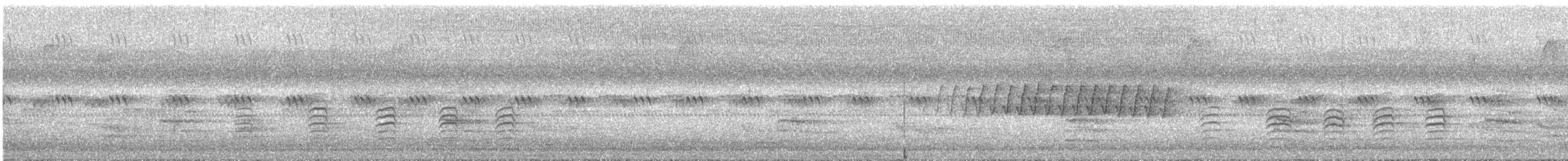 Garrapo kanadarra - ML642654371