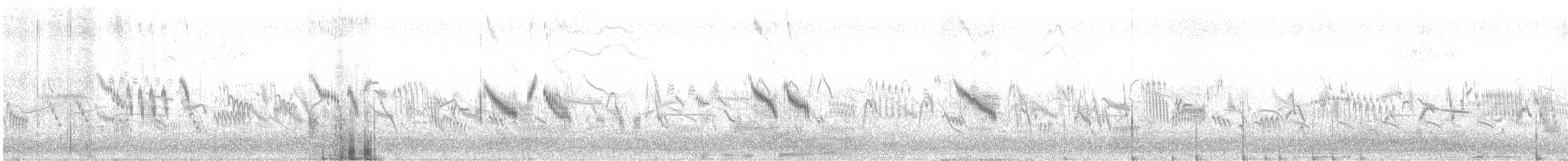 Боролзой болжмор - ML642654968