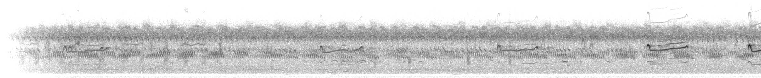 Killdeer - ML642656972
