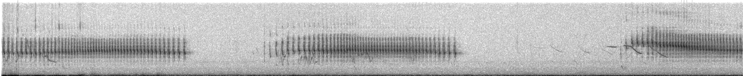 Short-billed Canastero - ML642657225