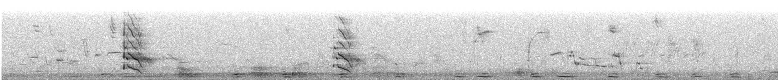 Northern Flicker - ML642657307