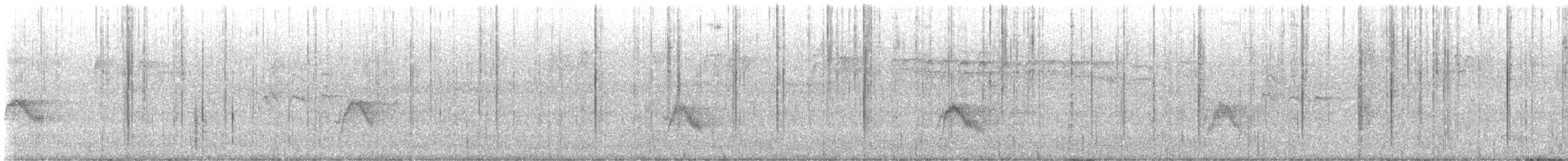 Gray-cheeked Thrush - ML642657695