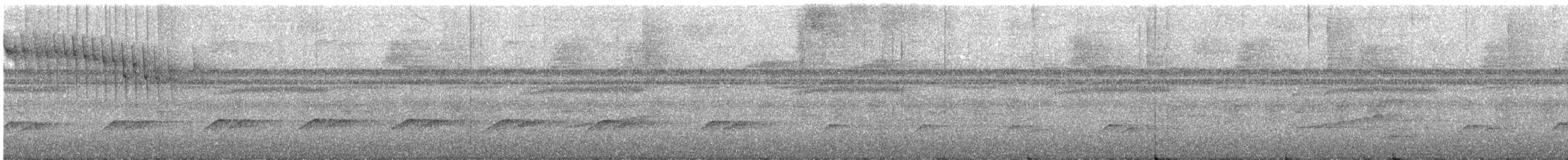 Bright-rumped Attila - ML642658959