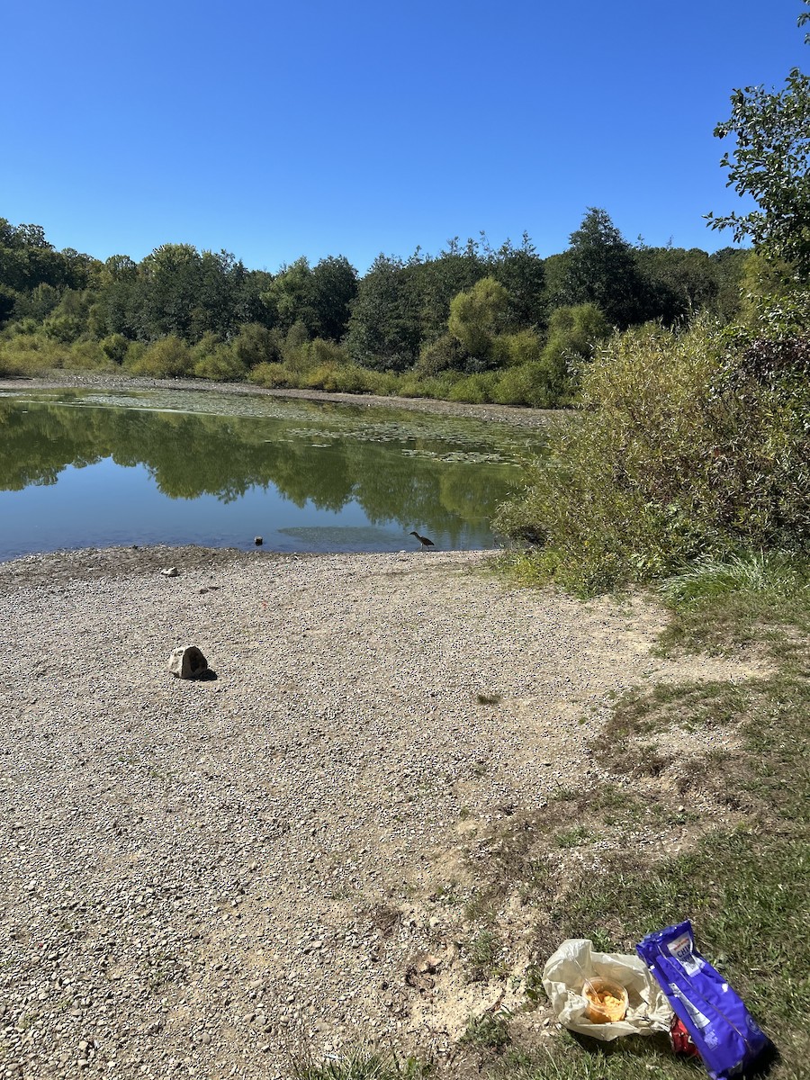 Ногоовор зашин - ML642659736