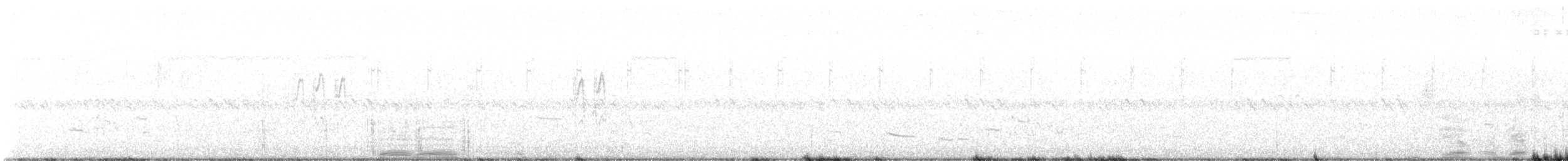 Sprague's Pipit - ML642660055