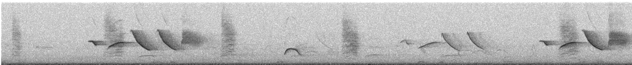 Southern House Wren - ML642660175