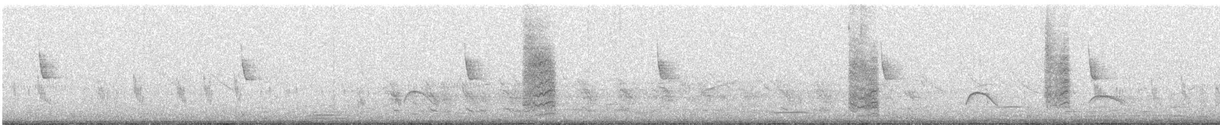 Southern House Wren - ML642660176