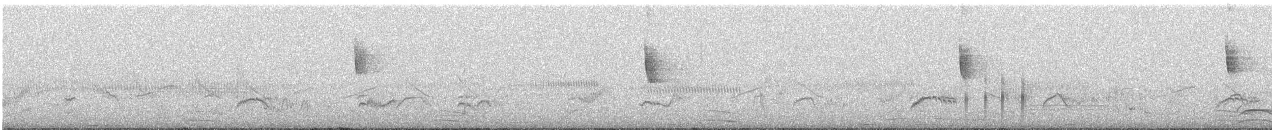 Rufous-tailed Plantcutter - ML642660195