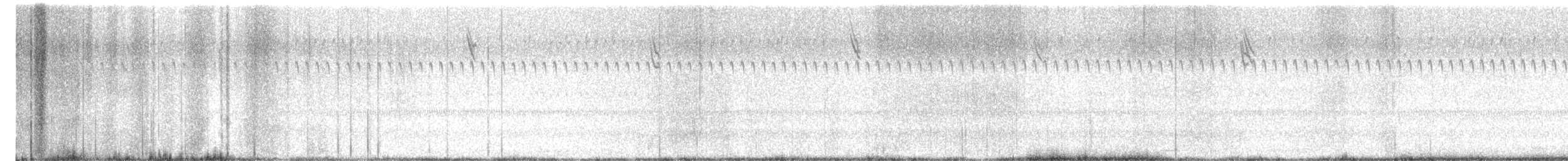 Savannah Sparrow - ML642660250