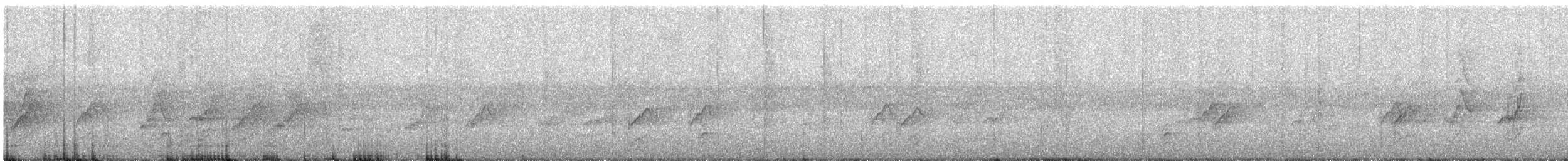 Barred Parakeet - ML642661221