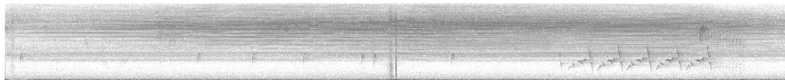 Empidonax sp. - ML642662901