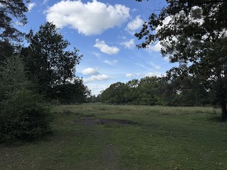 Emer Bog and Baddesley Common HIWWT NR, Hampshire, England, United ...