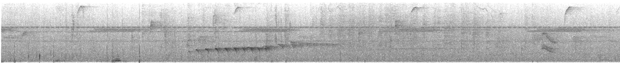 Dusky Antbird - ML642663119