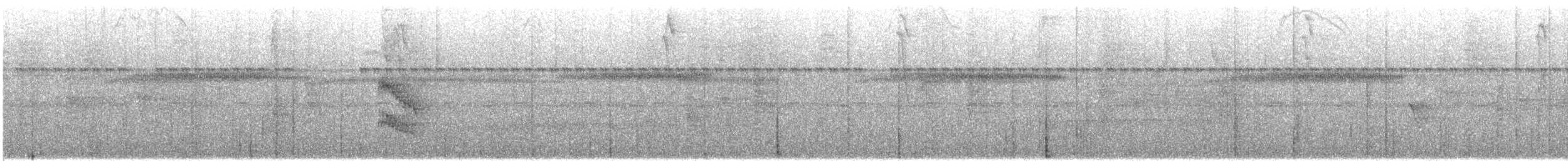 White-collared Manakin - ML642663172
