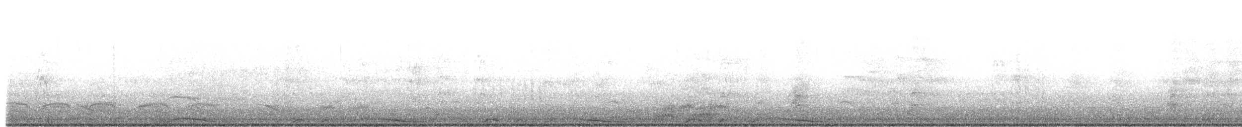 Pale-vented Pigeon - ML642663428