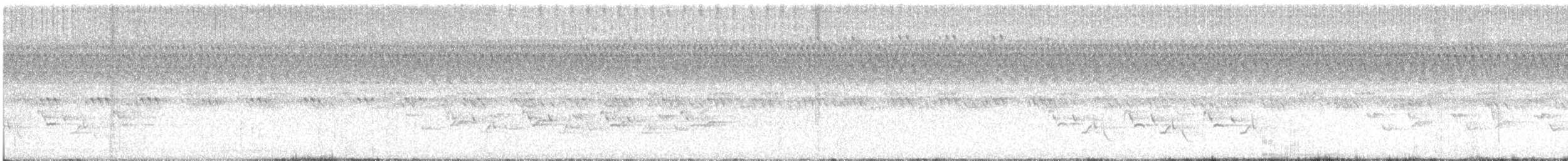Carolina Wren - ML642663962
