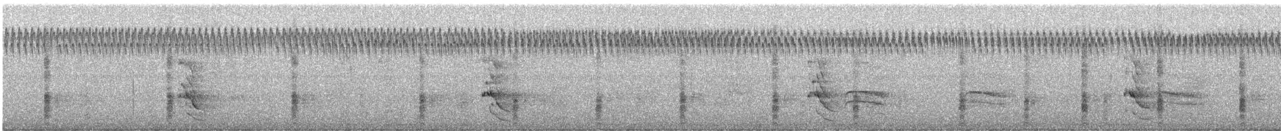 Northern Flicker - ML642664621