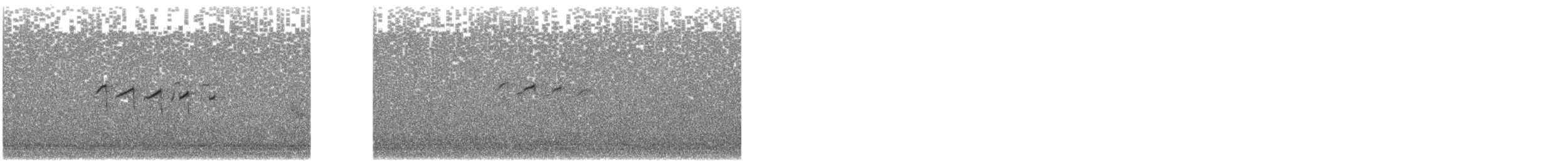 Common Sandpiper - ML642666469