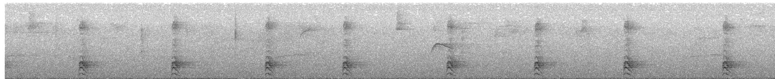 Barred Forest-Falcon - ML642666670
