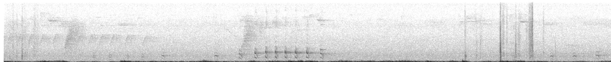 Barred Forest-Falcon - ML642666671