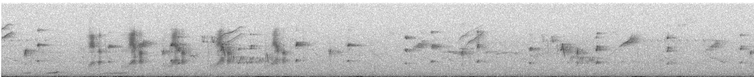 Black-tailed Tityra - ML642668339