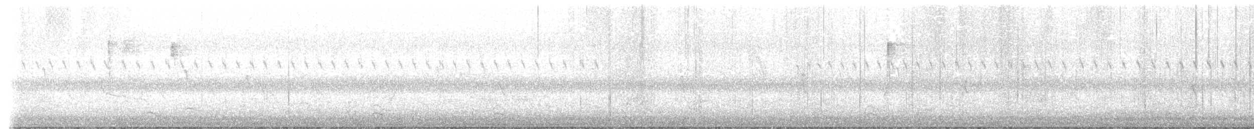 Connecticut Warbler - ML642668884