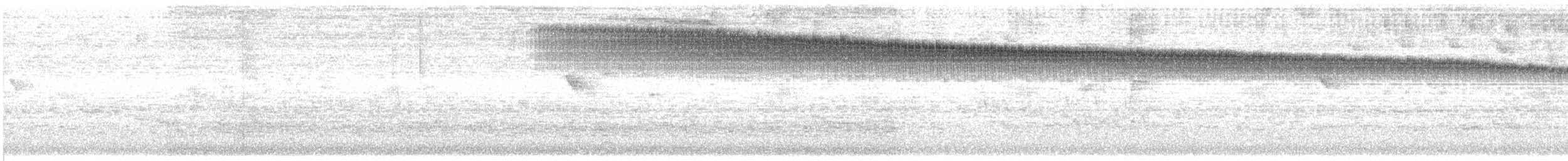 Black-throated Brilliant - ML642668900