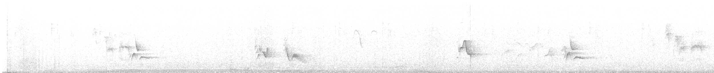 Plumbeous Vireo - ML642669094