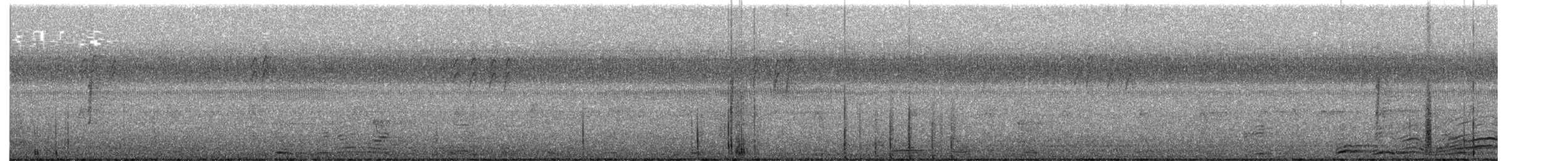 Бор шувууны багын тодорхойгүй зүйл - ML642669103