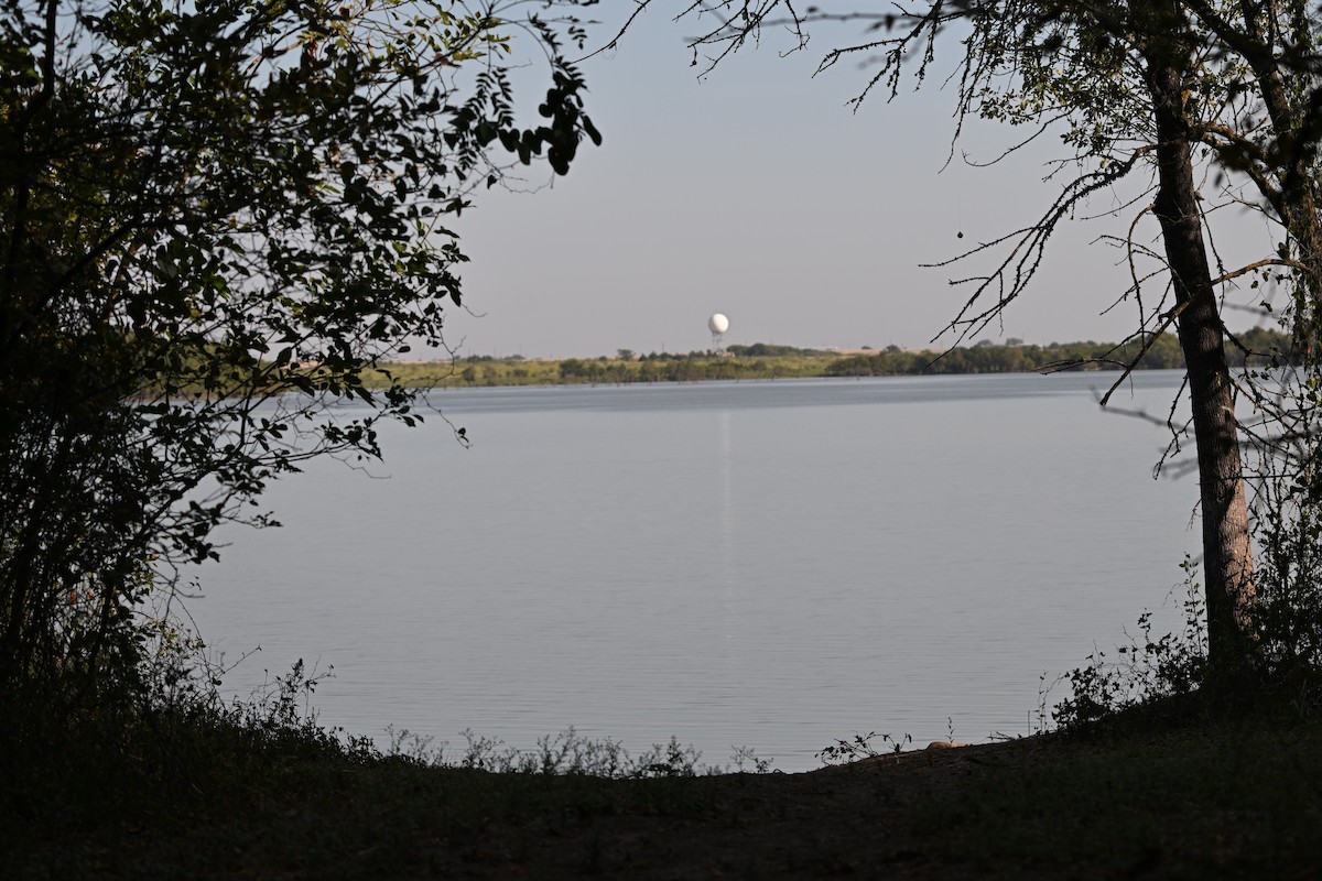 null - ML642670102