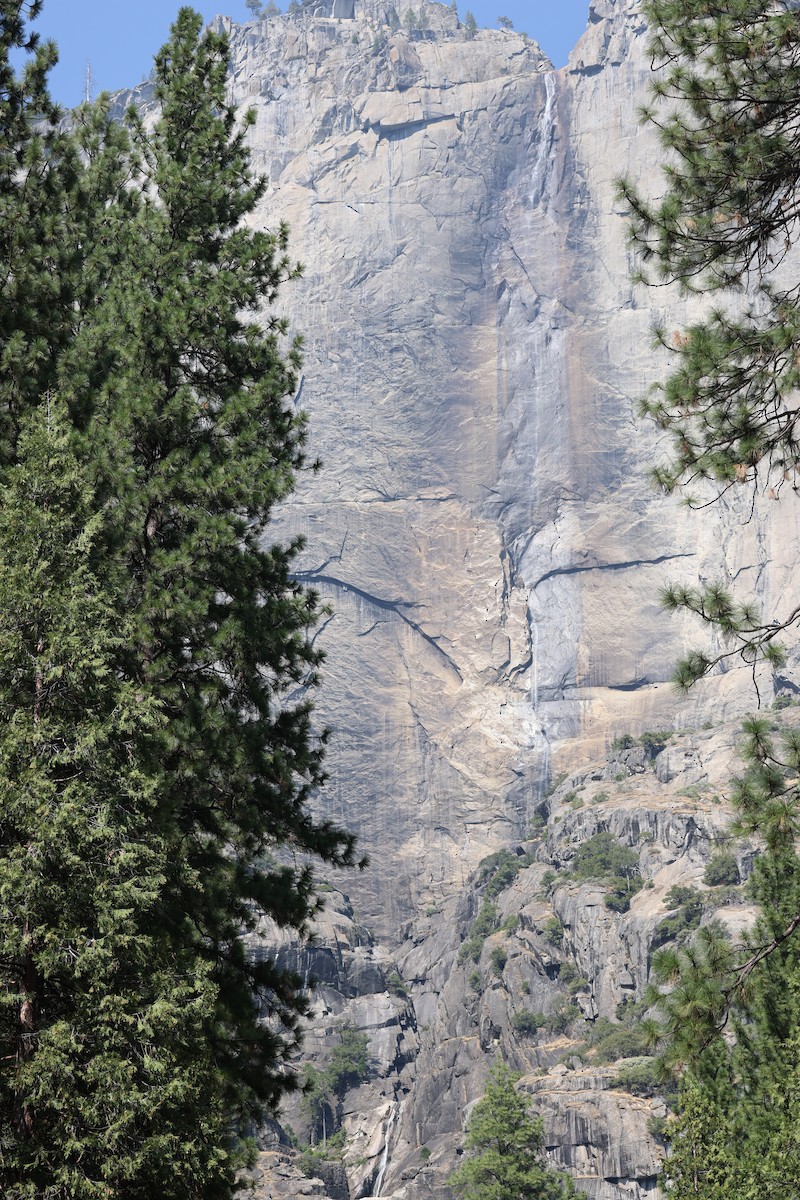null - ML642670482