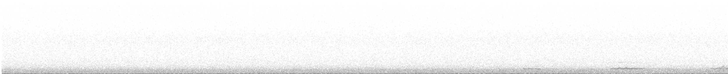 Common Loon - ML642671417