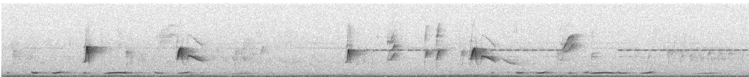 Піві сірий - ML642671938