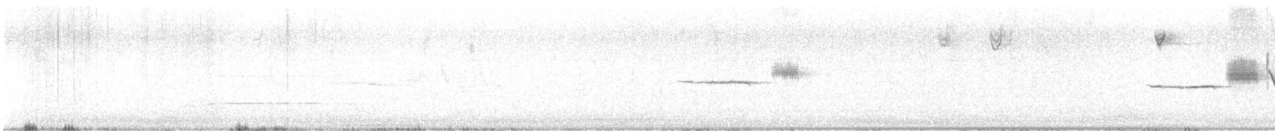 White-crowned Sparrow - ML642672038