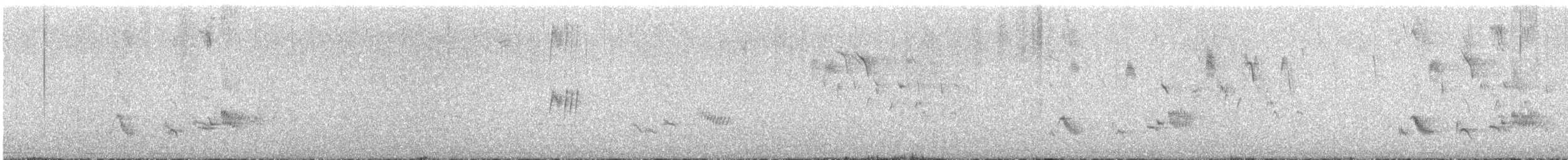 Tropical Mockingbird - ML642672524
