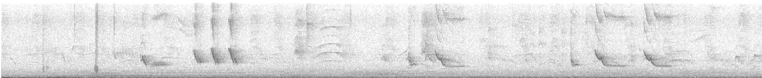 Tropical Mockingbird - ML642672570