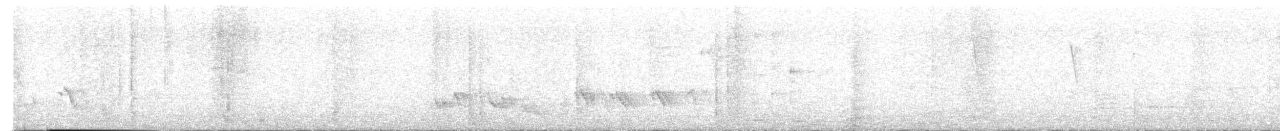 Tropical Mockingbird - ML642672993