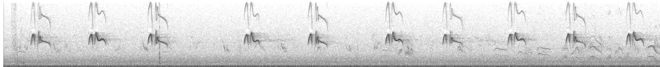 Black Phoebe - ML642673057