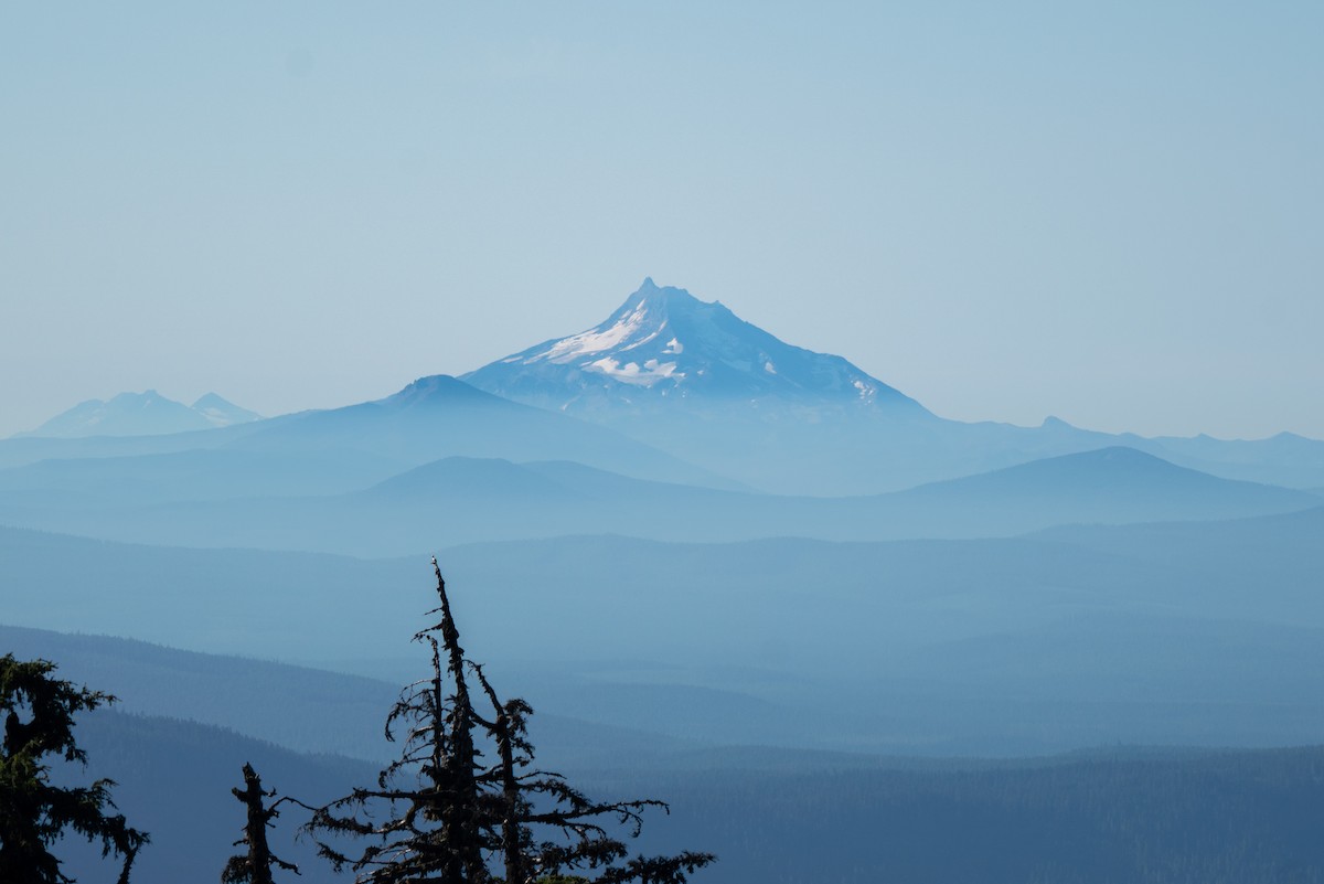 null - ML642673961