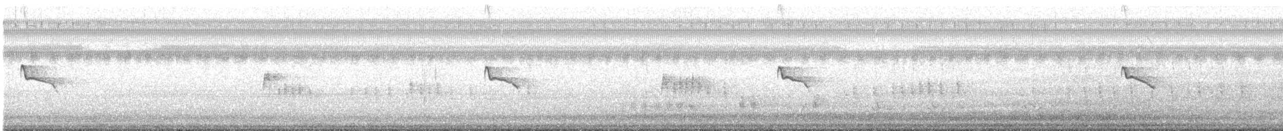 Black Phoebe - ML642675089