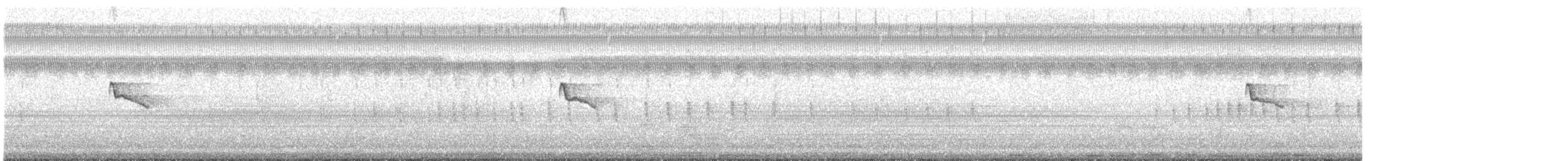 Black Phoebe - ML642675090