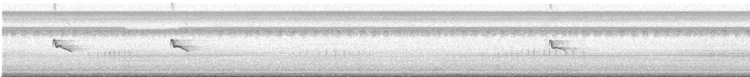 Black Phoebe - ML642675091