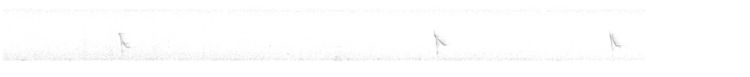 Altın Başlı Çulhakuşu - ML642675181