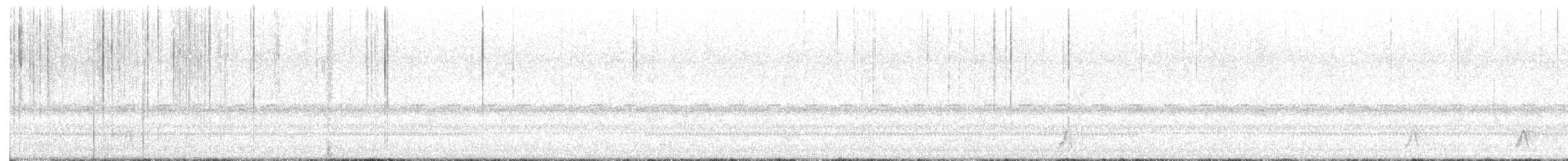 Mexican Whip-poor-will - ML642675677