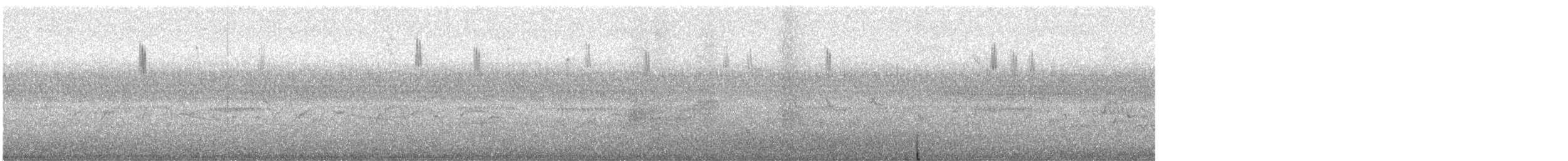 Setophaga sp. - ML642677658
