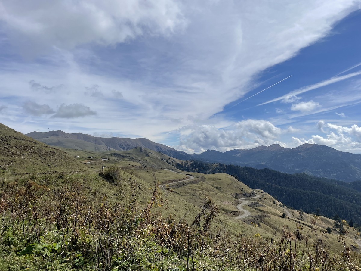 null - ML642677946