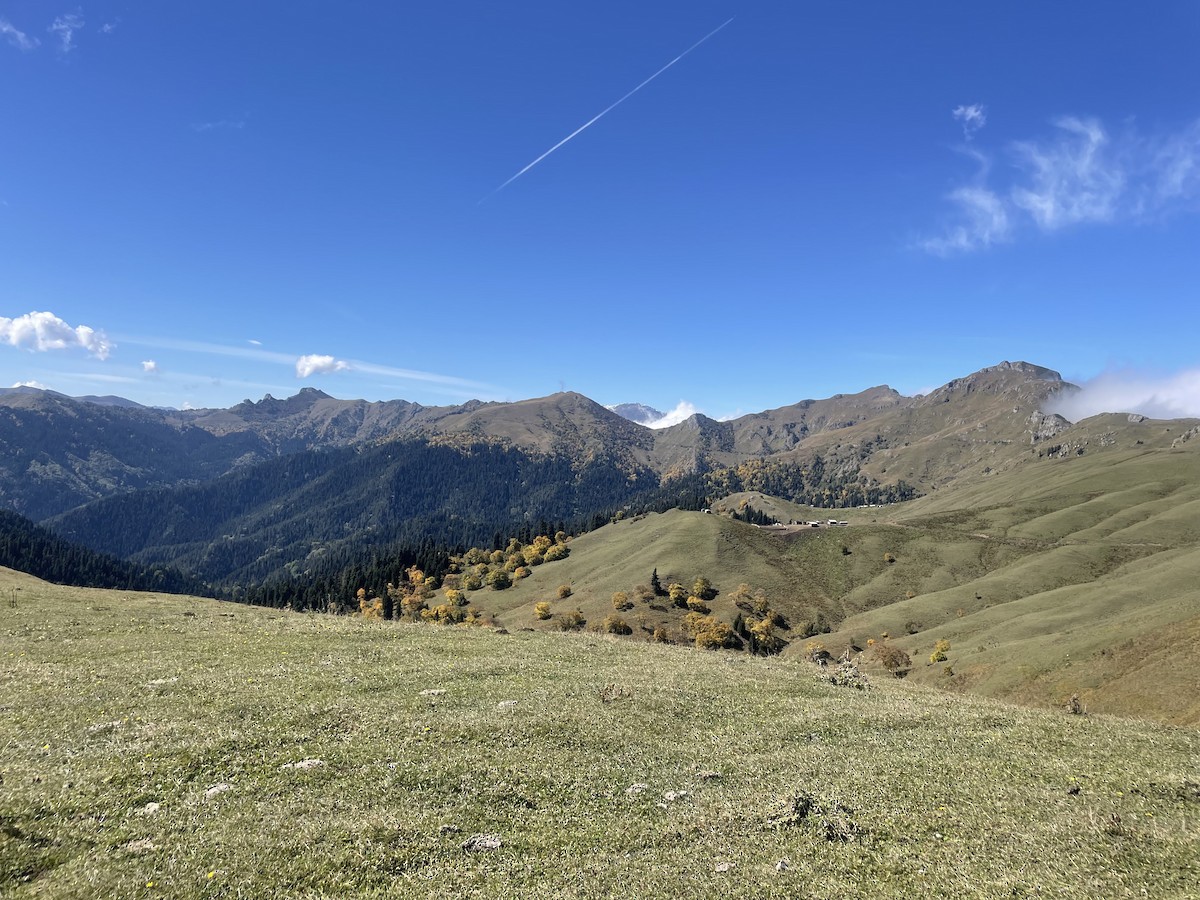 null - ML642677947