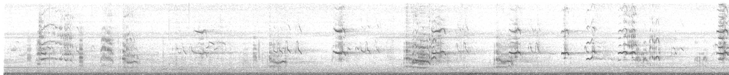 Royal Tern - ML642678429